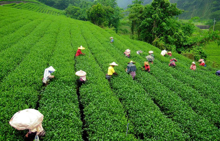 Best Of Sikkim