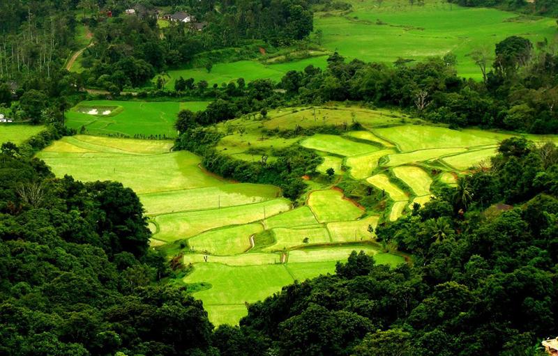 Enchanting Treasures of South India